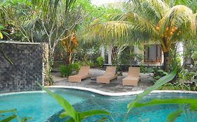 Tarzan Marriott On Penida